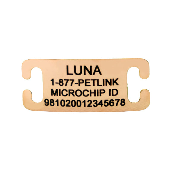 Personalized Slide-On Collar Tags for Cats
