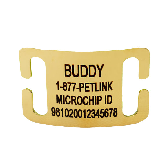 Personalized Slide-On Collar Tags for Dogs