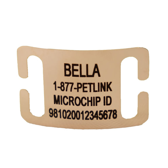 Personalized Slide-On Collar Tags for Dogs