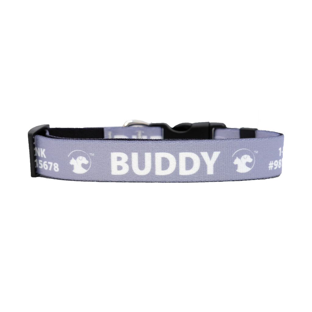 Personalized Jewel-Toned Dog Collars