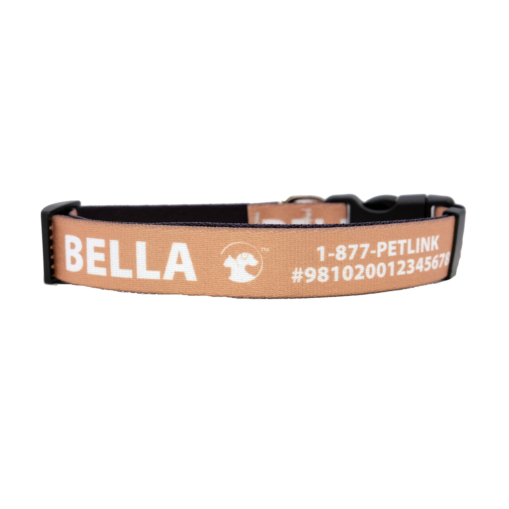 Personalized Jewel-Toned Dog Collars
