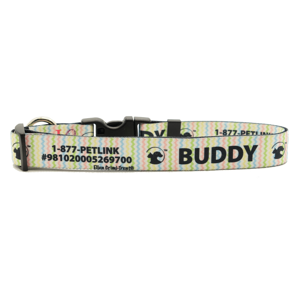 Personalized Designer Dog Collars