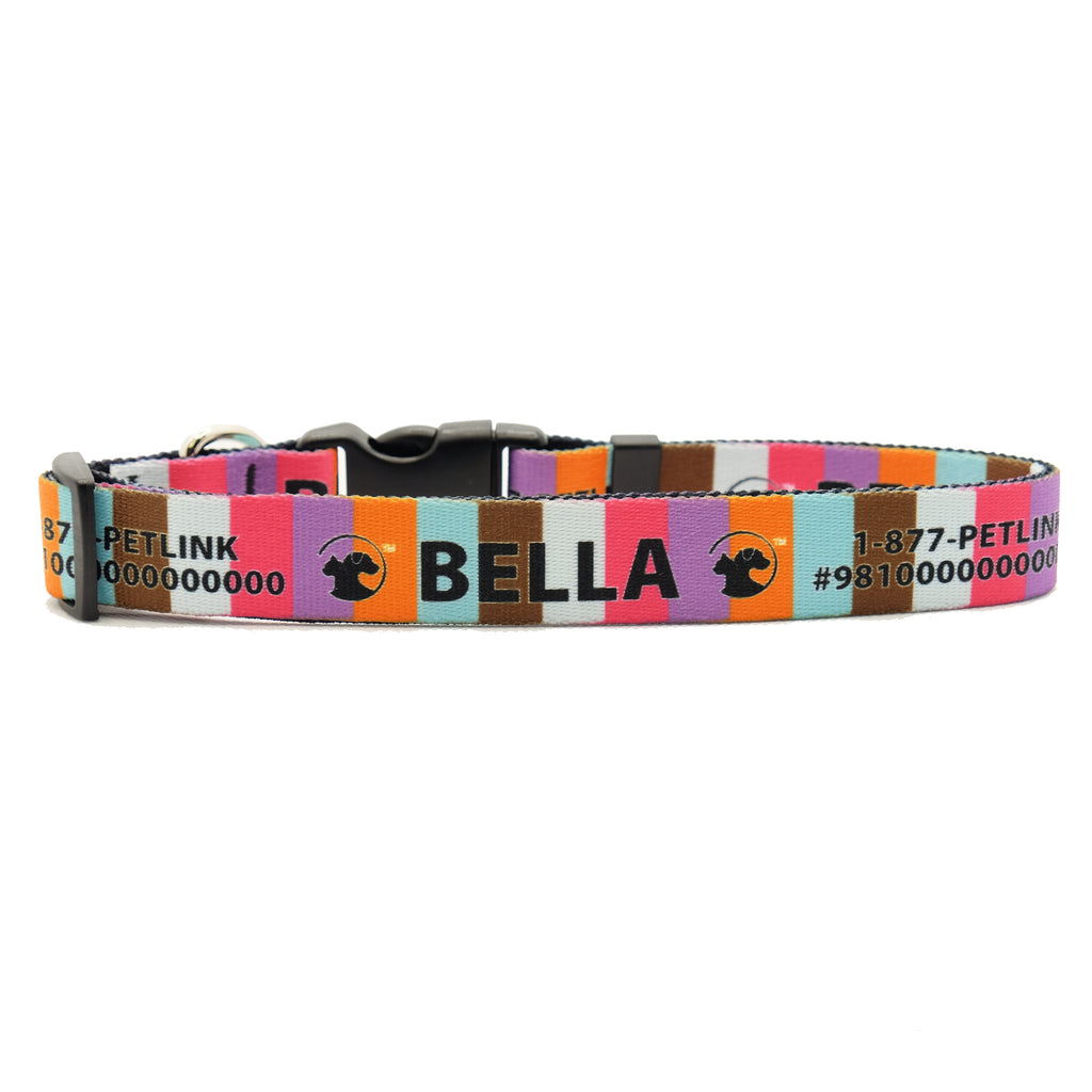 Personalized Designer Dog Collars
