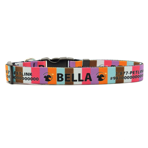 Personalized Designer Dog Collars