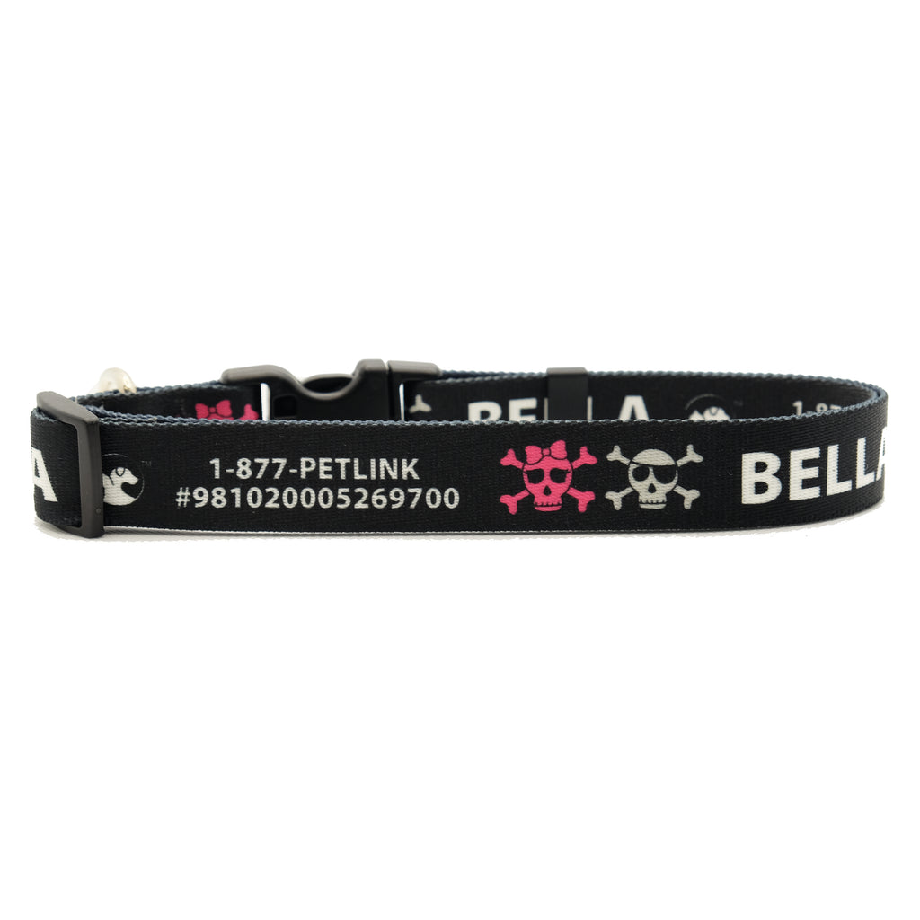 Personalized Designer Dog Collars