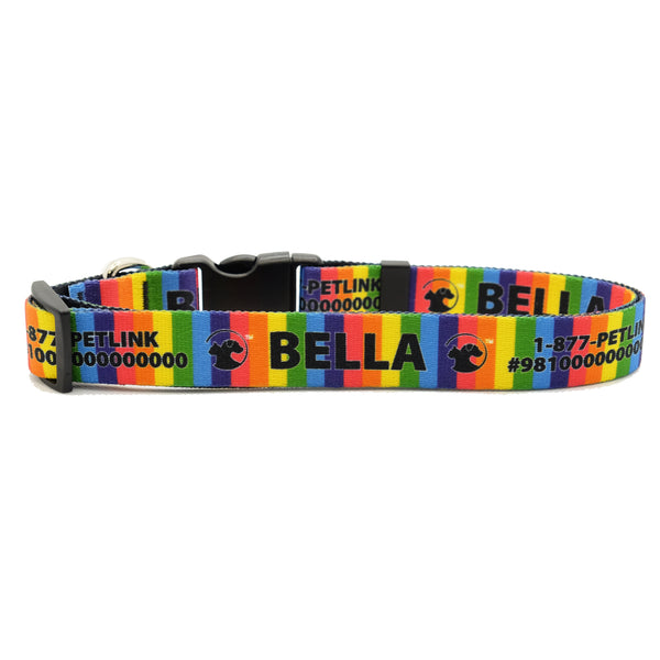 Personalized Designer Dog Collars