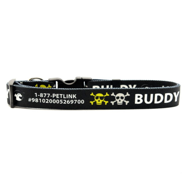Personalized Designer Dog Collars