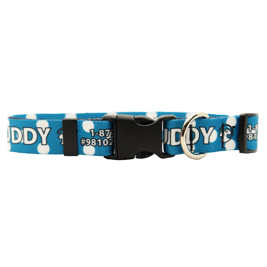 Personalized Polka Dot Dog Collars (3 colors available)
