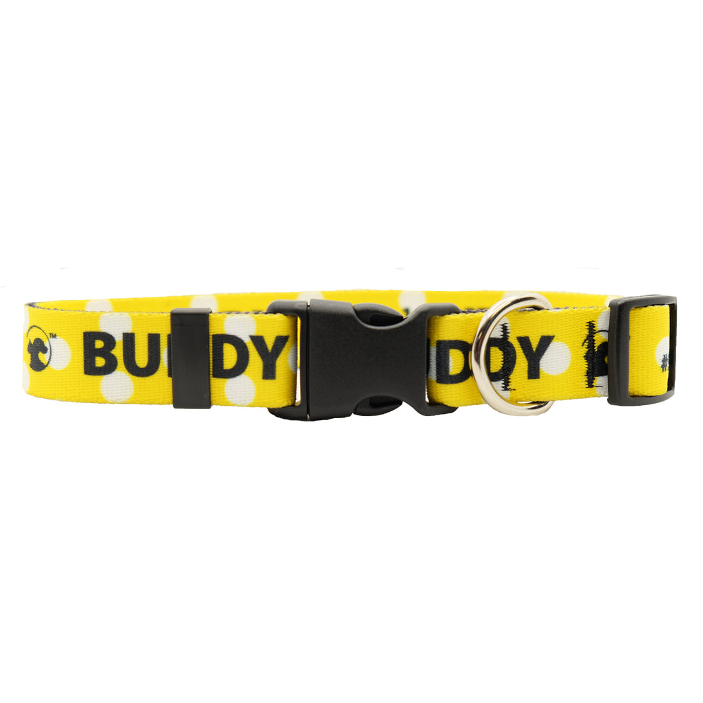 Personalized Polka Dot Dog Collars (3 colors available)
