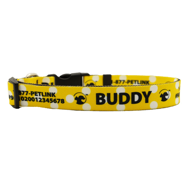 Personalized Polka Dot Dog Collars (3 colors available)