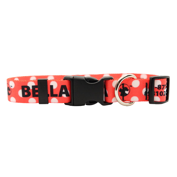 Personalized Polka Dot Dog Collars (3 colors available)