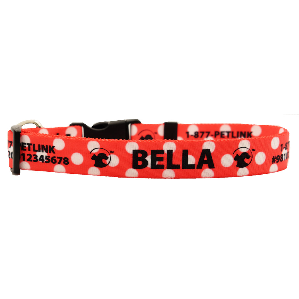 Personalized Polka Dot Dog Collars (3 colors available)