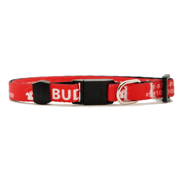 Personalized Solid Break-Away Cat Collars