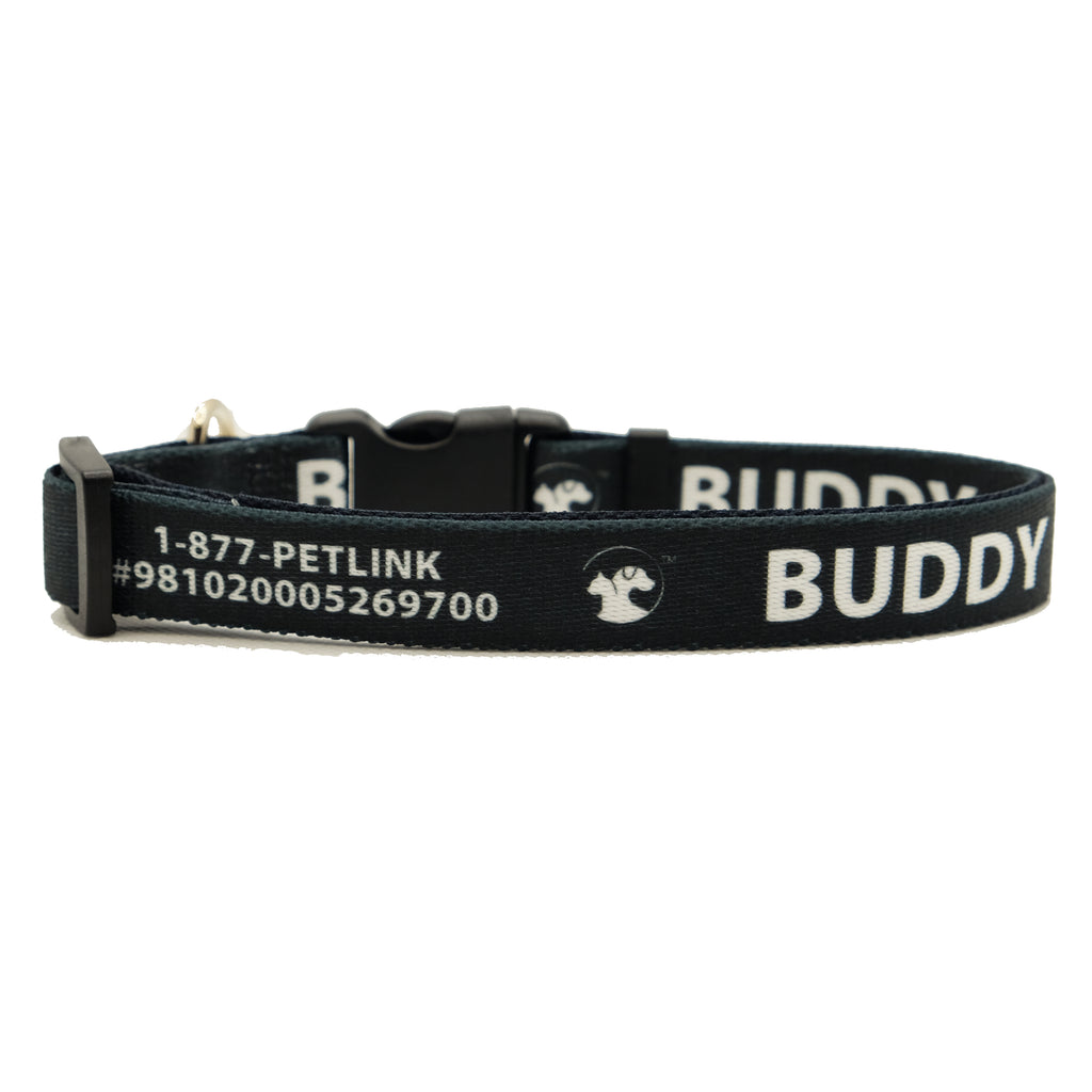 Personalized Solid Dog Collars (8 colors available)