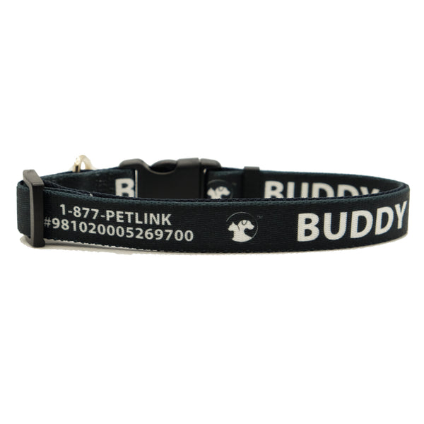 Personalized Solid Dog Collars (8 colors available)
