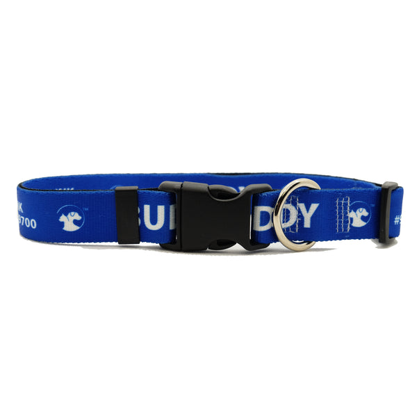 Personalized Solid Dog Collars (8 colors available)