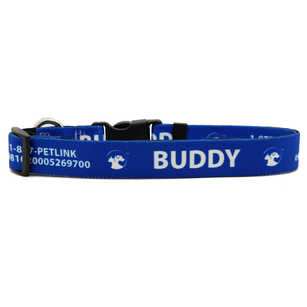 Personalized Solid Dog Collars (8 colors available)