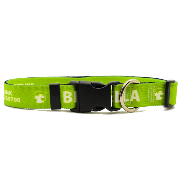 Personalized Solid Dog Collars (8 colors available)