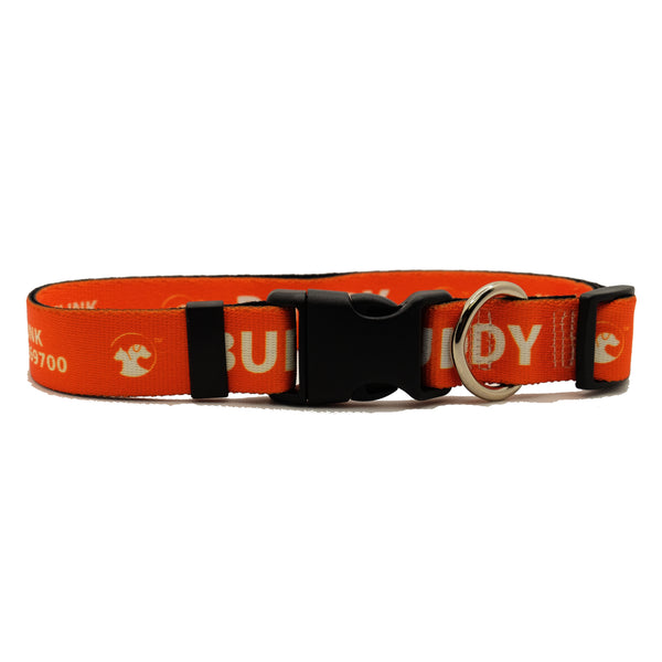 Personalized Solid Dog Collars (8 colors available)