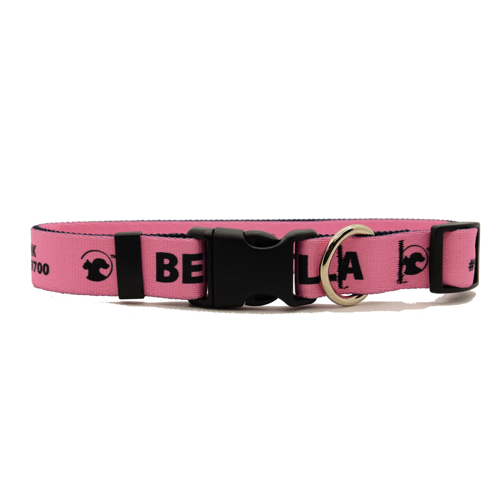 Personalized Solid Dog Collars (8 colors available)