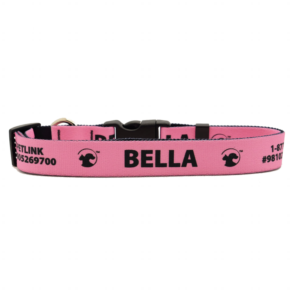 Personalized Solid Dog Collars (8 colors available)