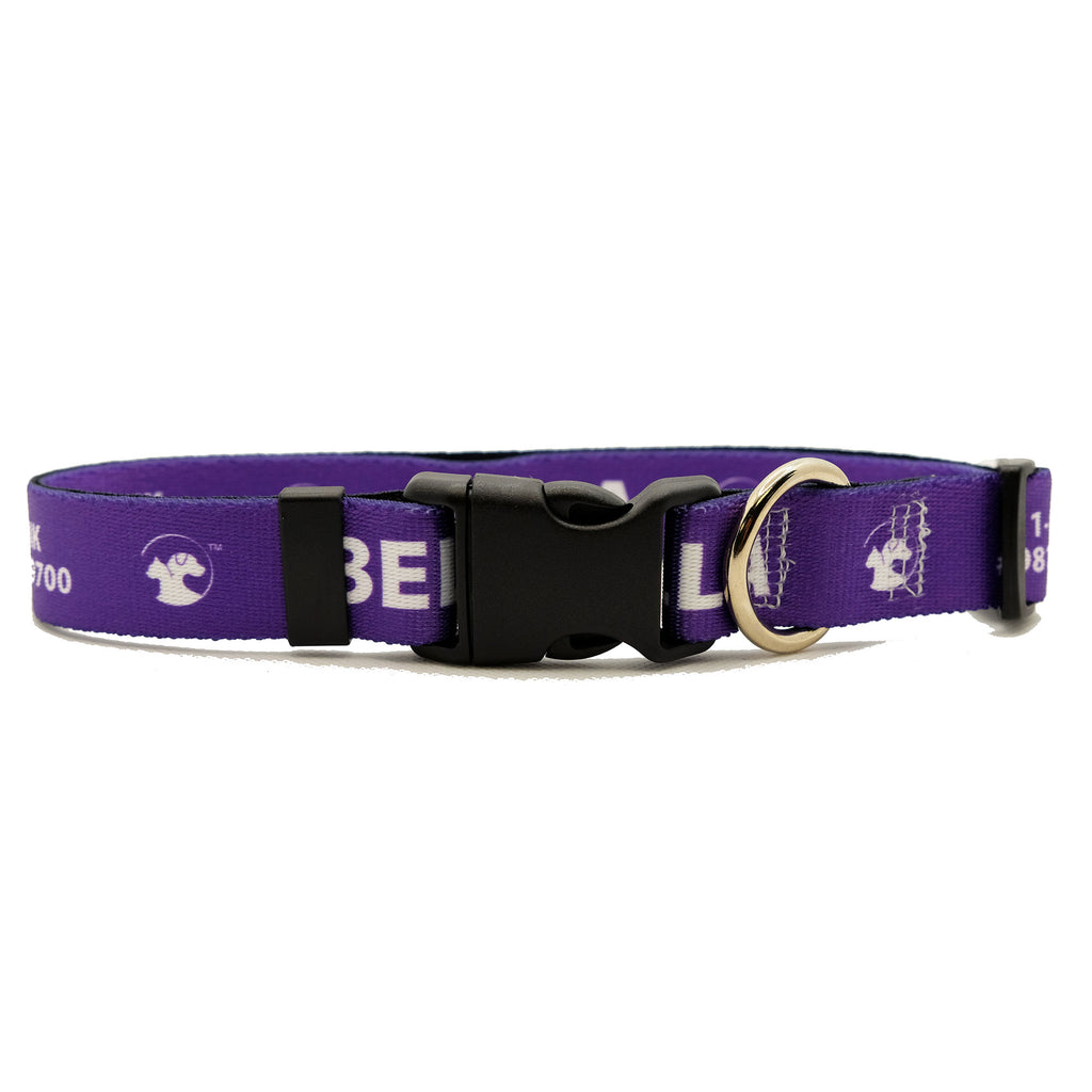 Personalized Solid Dog Collars (8 colors available)