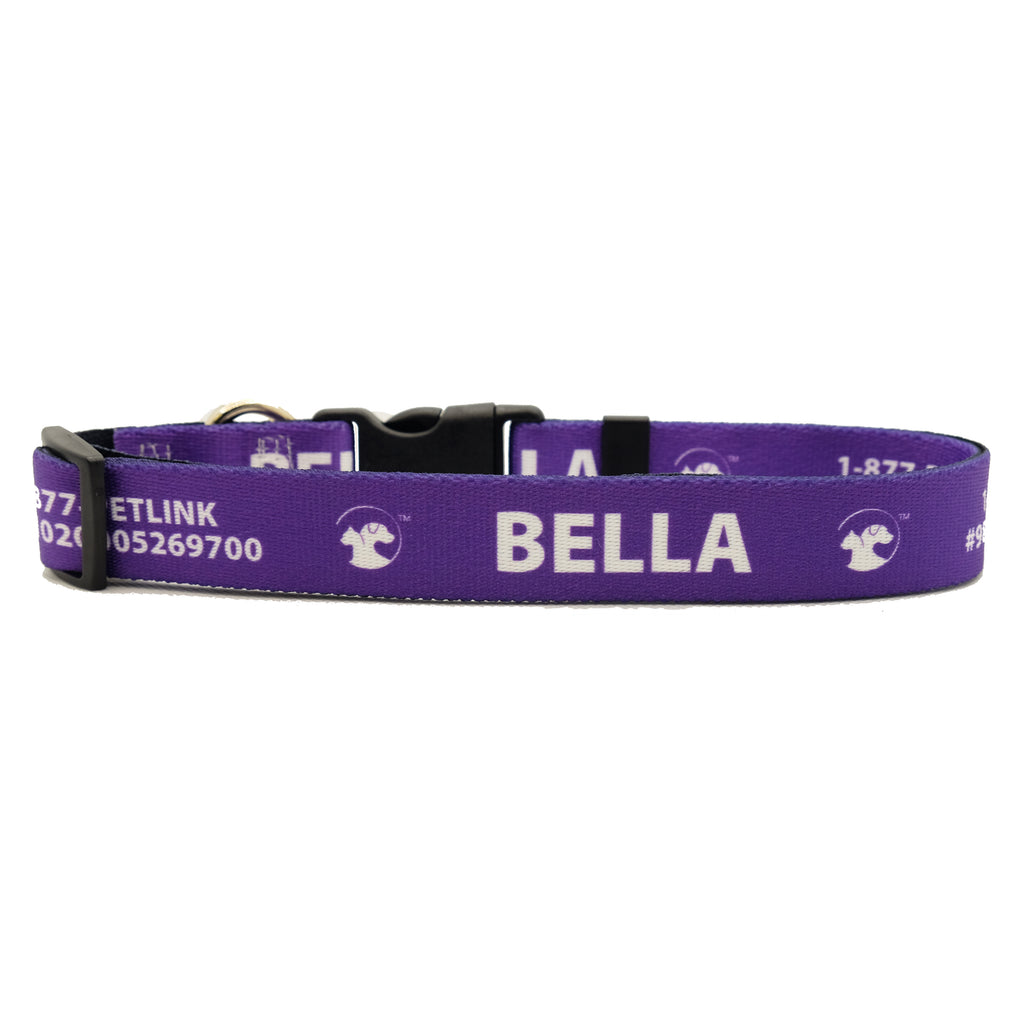 Personalized Solid Dog Collars (8 colors available)
