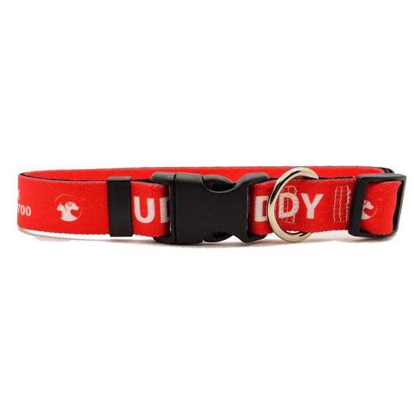 Personalized Solid Dog Collars (8 colors available)