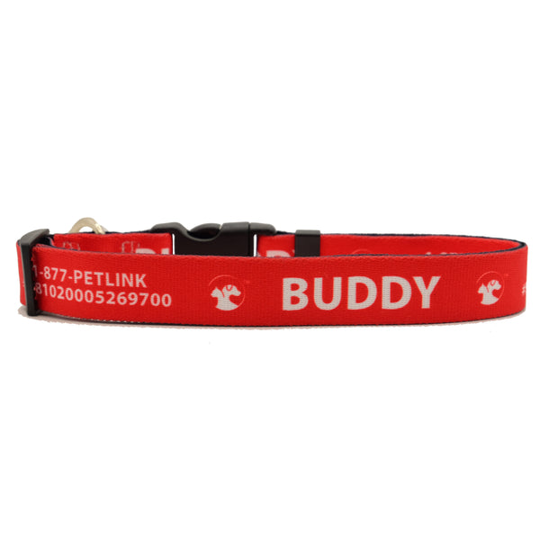 Personalized Solid Dog Collars (8 colors available)
