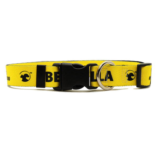 Personalized Solid Dog Collars (8 colors available)