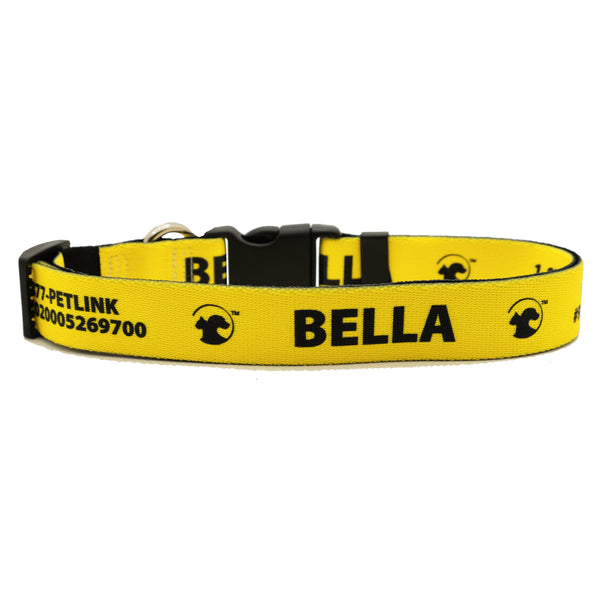 Personalized Solid Dog Collars (8 colors available)