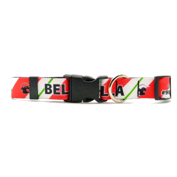 Winter Holiday Dog Collar (4 NEW designs available)