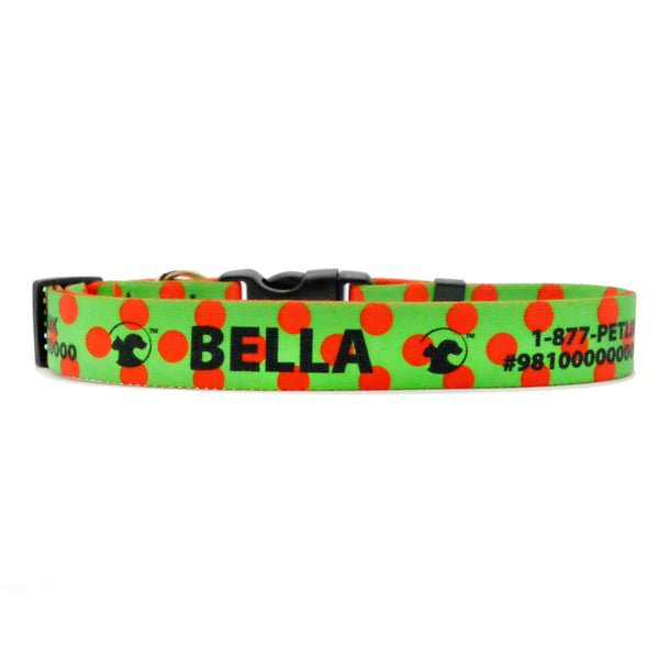 Winter Holiday Dog Collar (4 NEW designs available)