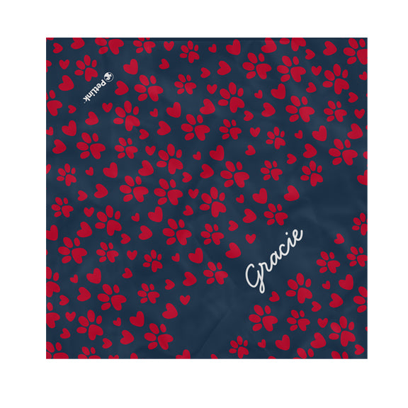 Personalized Pet Name Pet Bandana with Pattern