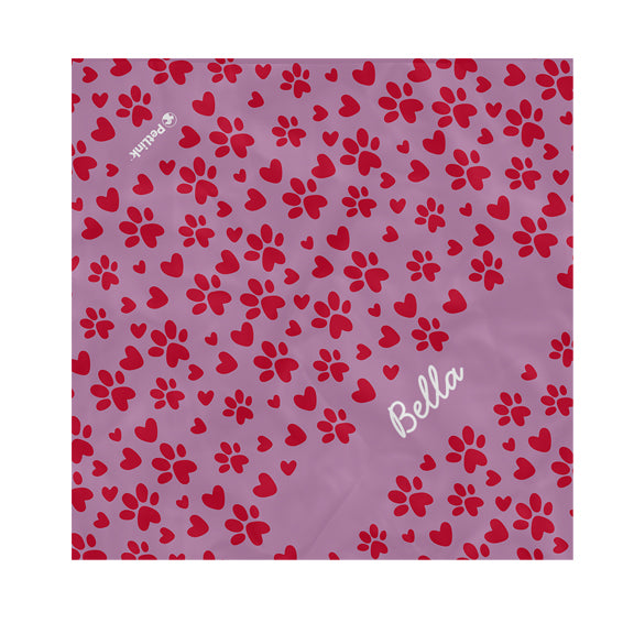 Personalized Pet Name Pet Bandana with Pattern