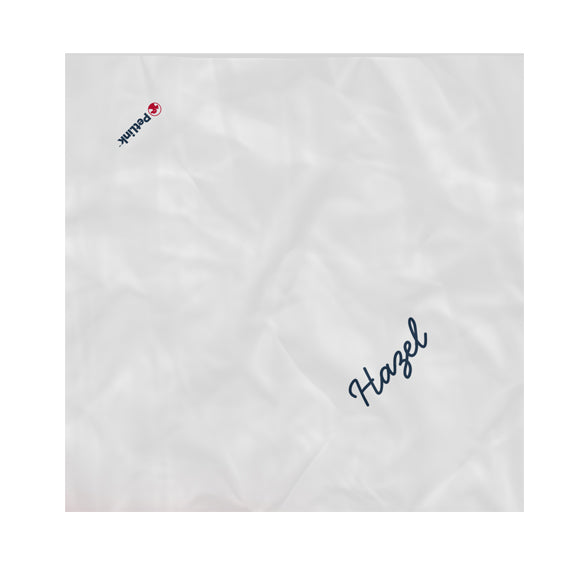 Personalized Pet Name Pet Bandana