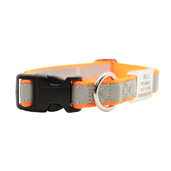 Personalized Reflective Dog Collars with Slider Tag