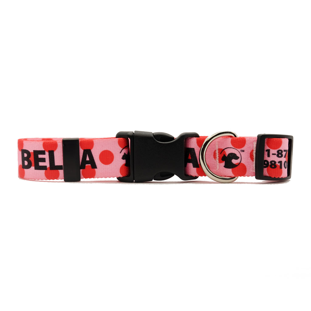 Valentine's Day Dog Collars (4 designs available)