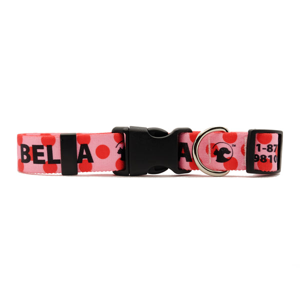 Personalized Polka Dot Dog Collars (3 colors available)