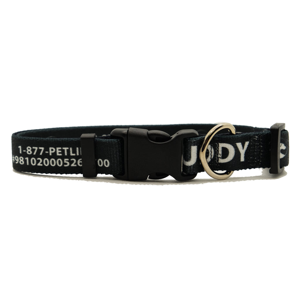 Personalized Solid Dog Collars (8 colors available)